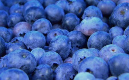 On Demand Webinar | Superfood Expedition: Bringing Local Foods To A Global Level