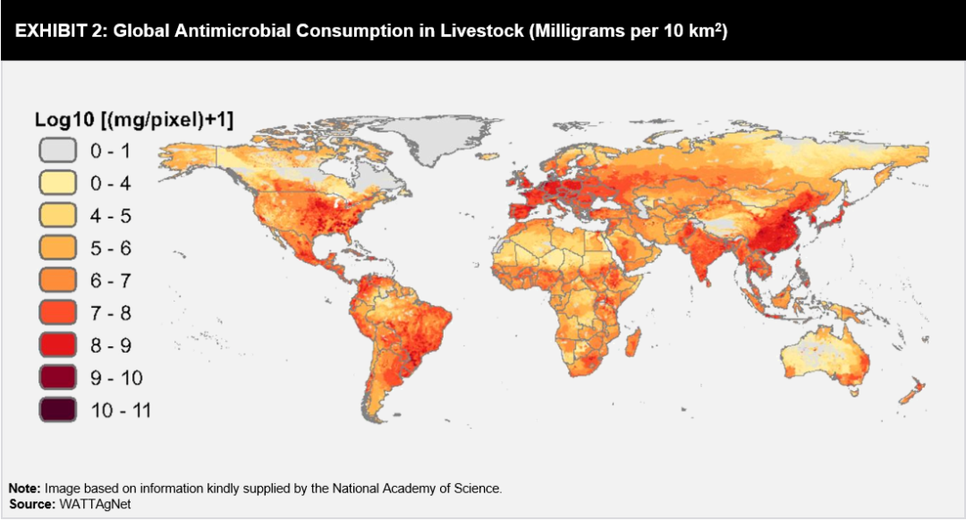 Animal Feed and Nutrition Impact on Human Health FutureBridge