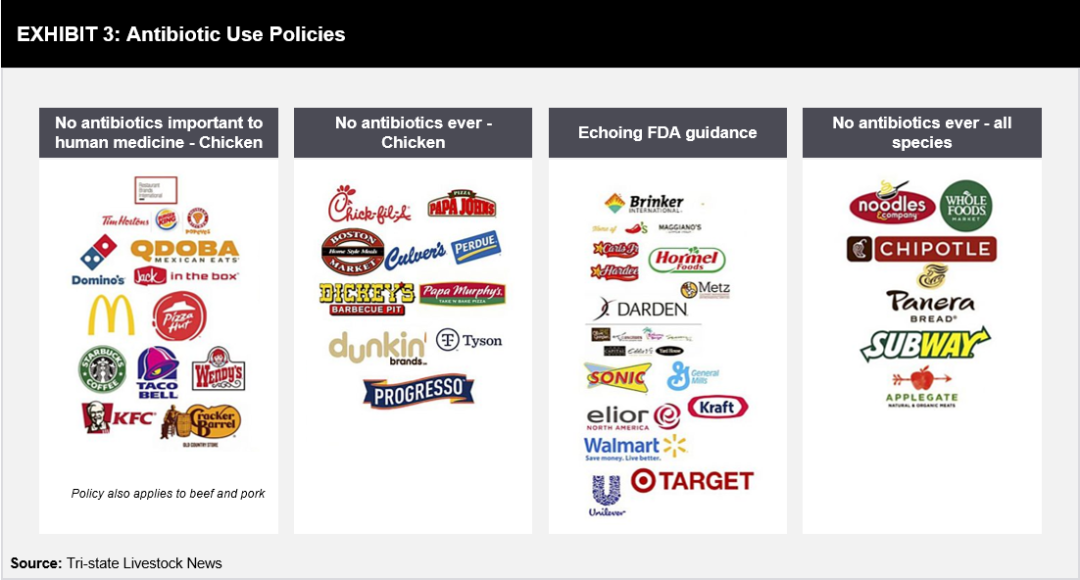 Animal Feed and Nutrition: Impact on Human Health - FutureBridge