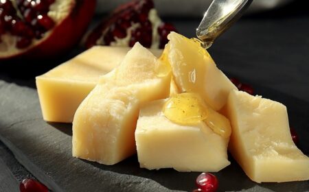 Novel Fermentation Technologies in the Food & Nutrition Industry