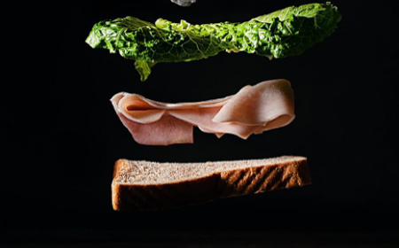 Microbial Protein – Technology Introduction