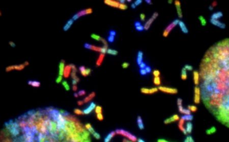 Rare Cancers: Challenges and Roadmap for R&D Innovations