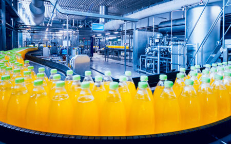Plant based alternative materials to plastic packaging: An evolution or a revolution?