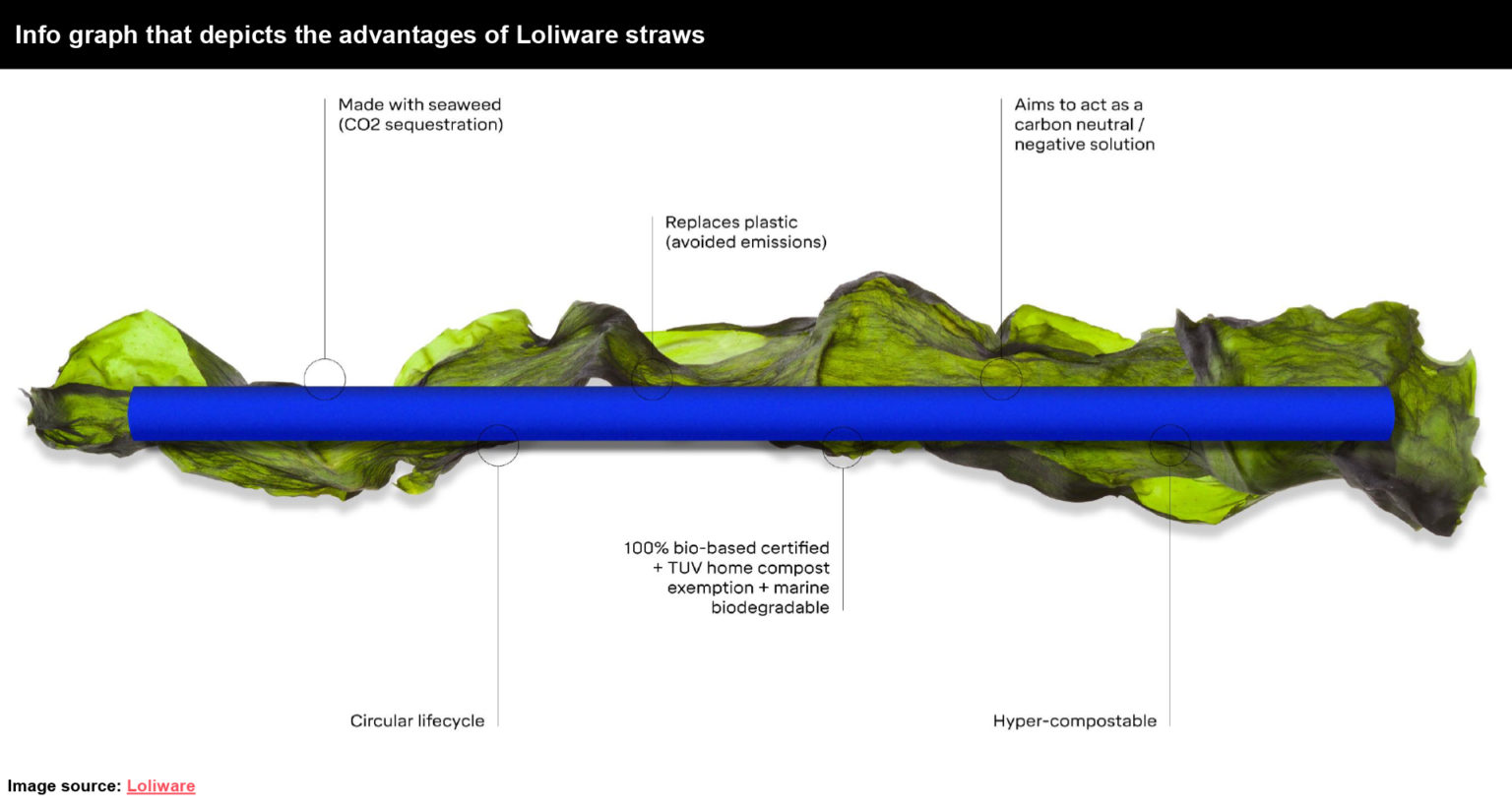 Seaweedbased Packaging FutureBridge