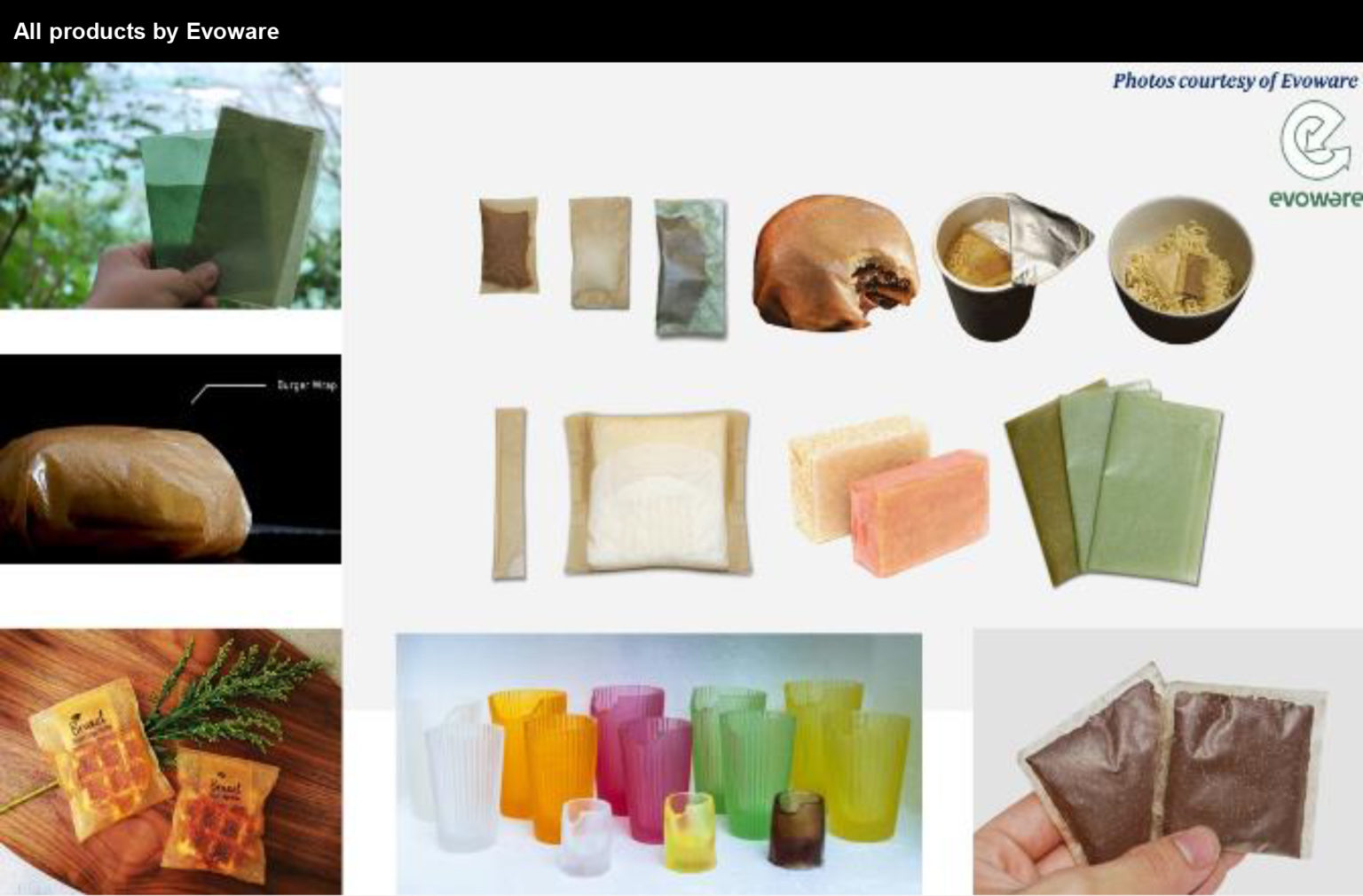 Seaweedbased Packaging FutureBridge