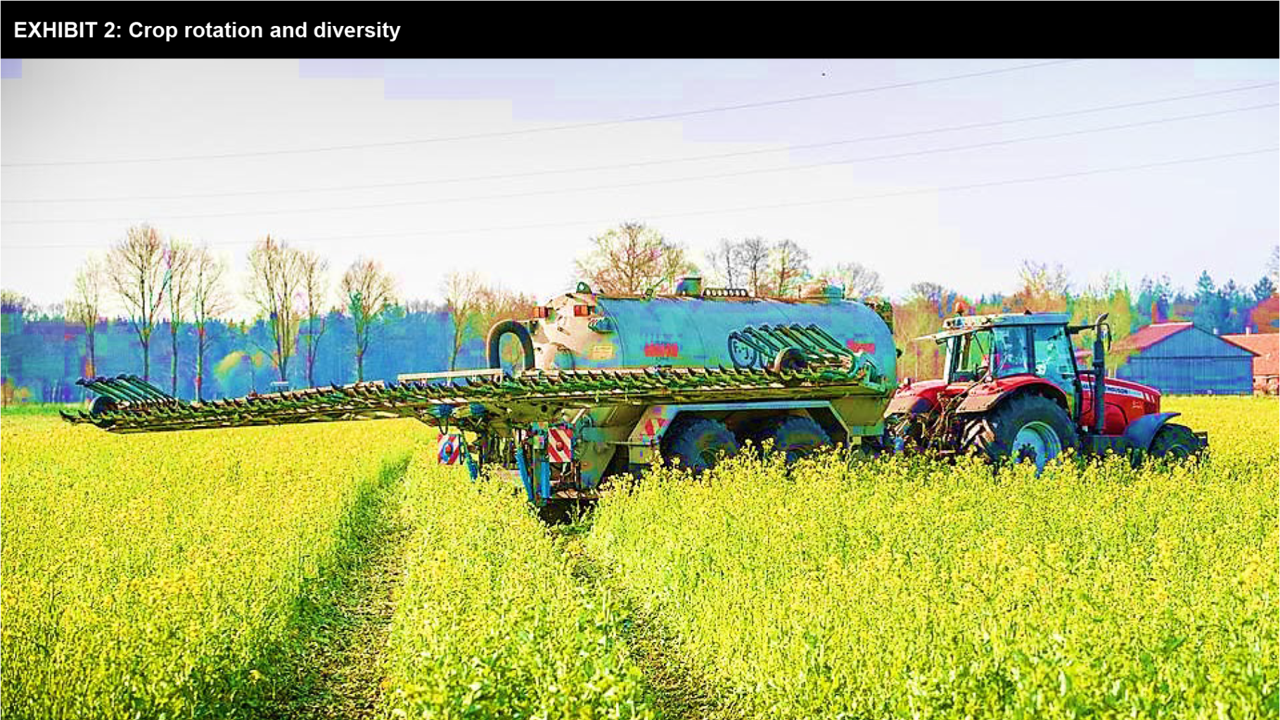 Crop Rotation – Center for Regenerative Agriculture and Resilient