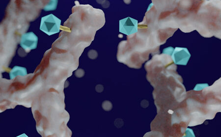 Cell Therapies in Solid Tumors: A bright future or a long shot