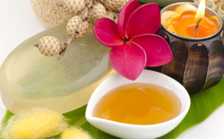 Due Diligence Study: Silk Protein Companies