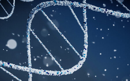 Finding the Way – Strategies to Make Cell Therapies Successful in Solid Tumors