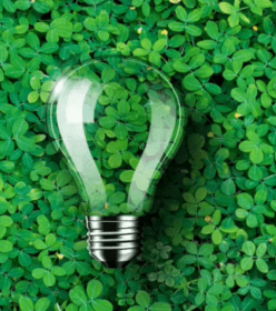 Sustainability Linked Regulations – Driving Innovations within C&M industry