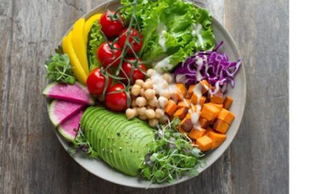 Alternative Protein – Indian Consumer: Key Player Interpretations