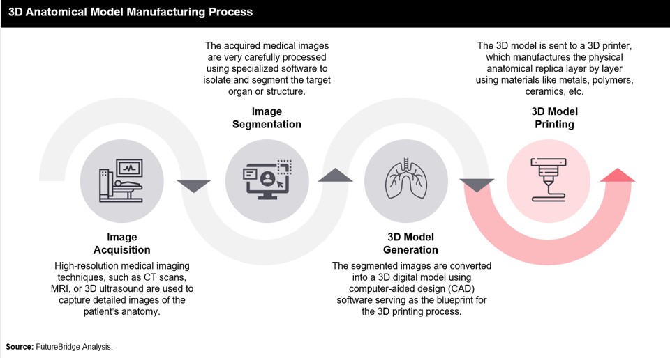 3D Anatomical Model Manufacturing Process