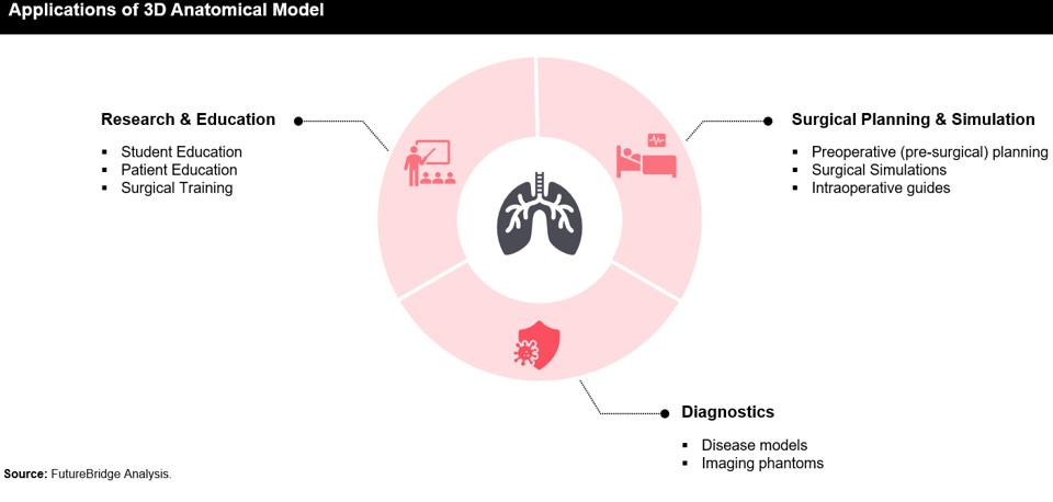 Applications of 3D Anatomical Model