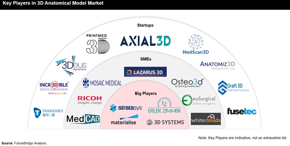 Key Players in 3D Anatomical Model Market