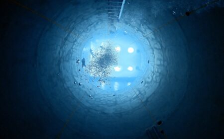 The High-Stakes Gamble of Deep-Sea Mining