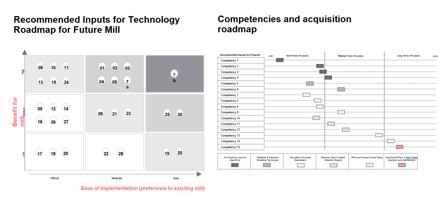 Recommended inputs and competencies roadmap