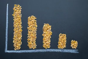 Tackling Resource Depletion: Innovative Solutions for a Resilient Food Future