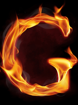 FutureBridge_G