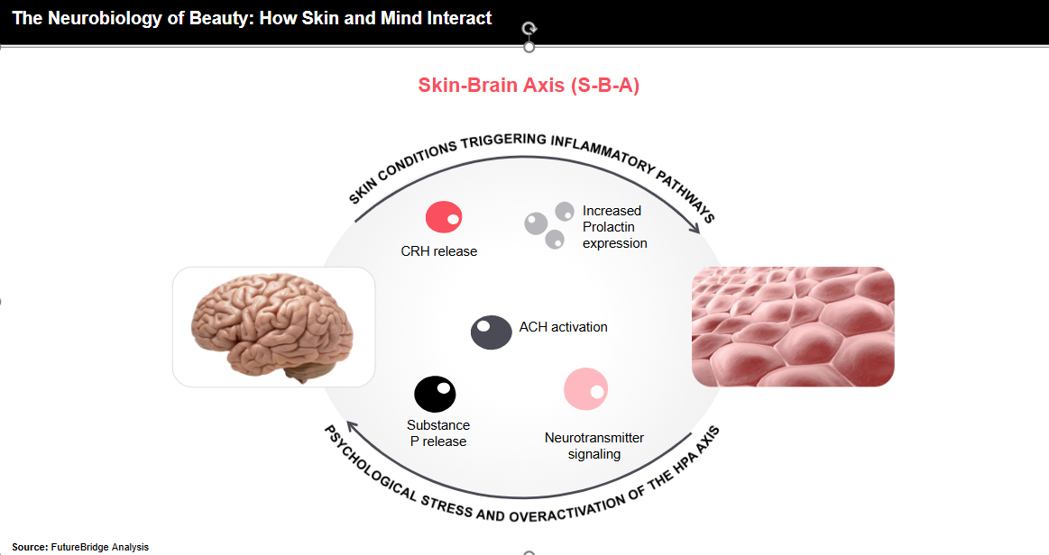 Futurebridge_Neurobiology of beauty