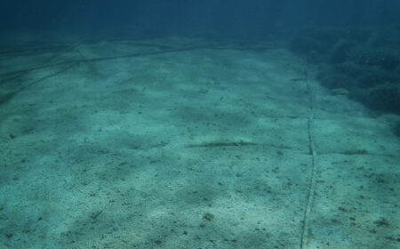 Beyond the Price Tag: Is Your Subsea Strategy Cost-Competitive?