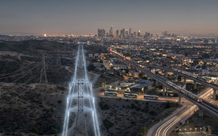 How do EVs contribute to Grid Flexibility?
