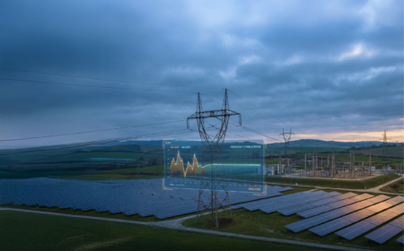 How can investors confidently underwrite grid assets?