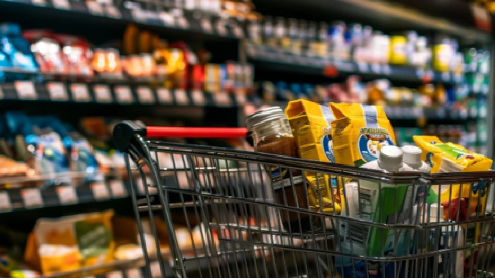 FutureBridge_structural shifts reshaping downstream food and agribusiness