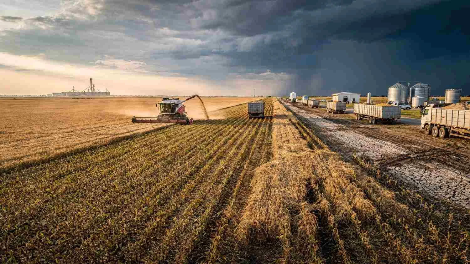 What Global Upstream Food & Agribusiness C-Suite Needs to Know